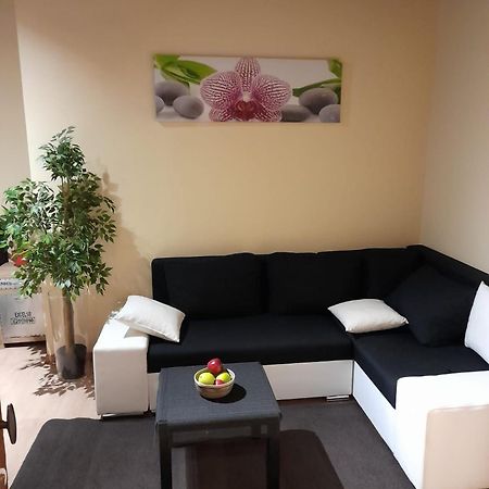 Cute,Cosy,Comfortable Studio In The Heart Of Antwerpenアパートメント エクステリア 写真