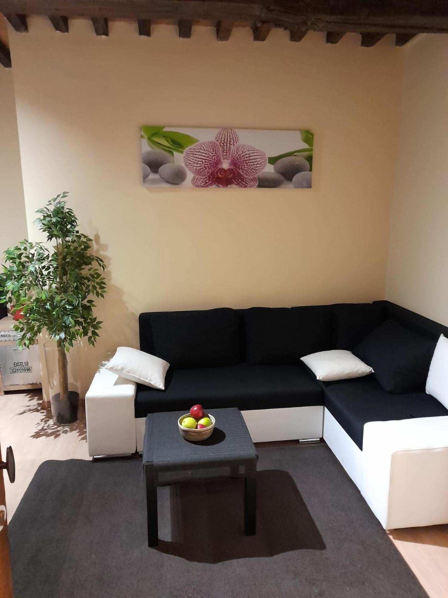 Cute,Cosy,Comfortable Studio In The Heart Of Antwerpenアパートメント エクステリア 写真